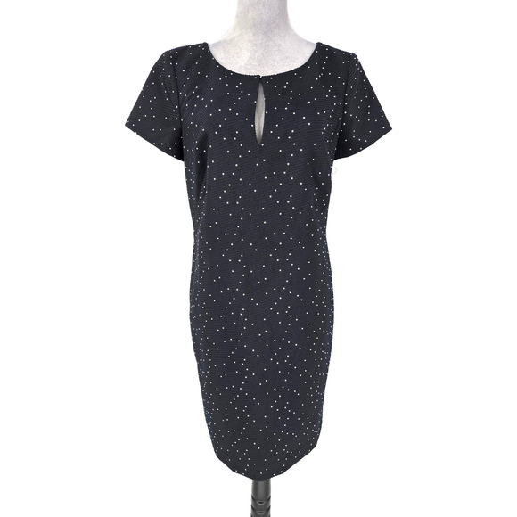 Ann Taylor Dress Womens 10 Navy Blue Polka Dot Silk Blend Lined Career New - Picture 1 of 14